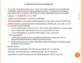 Szakmai Fórum , Dévaványa