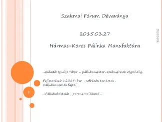 Szakmai Fórum , Dévaványa