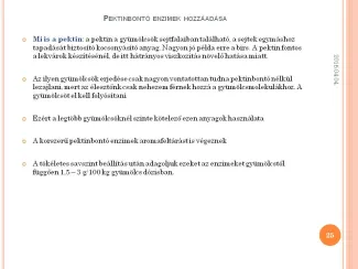 Szakmai Fórum , Dévaványa