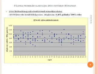 Szakmai Fórum , Dévaványa