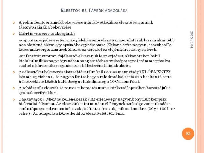 Szakmai Fórum , Körösladány