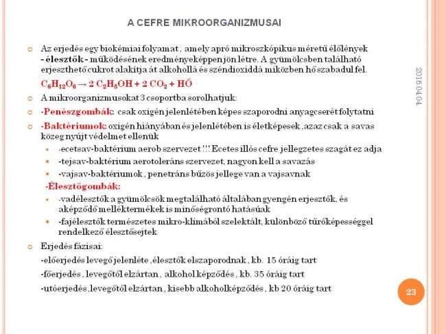 Szakmai Fórum , Szarvas