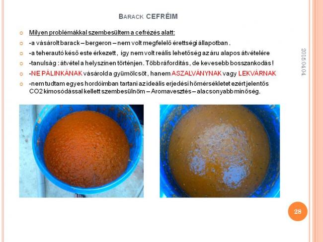 Szakmai Fórum , Szarvasi Kertbarátok