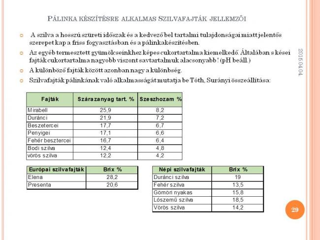 Szakmai Fórum , Körösladány