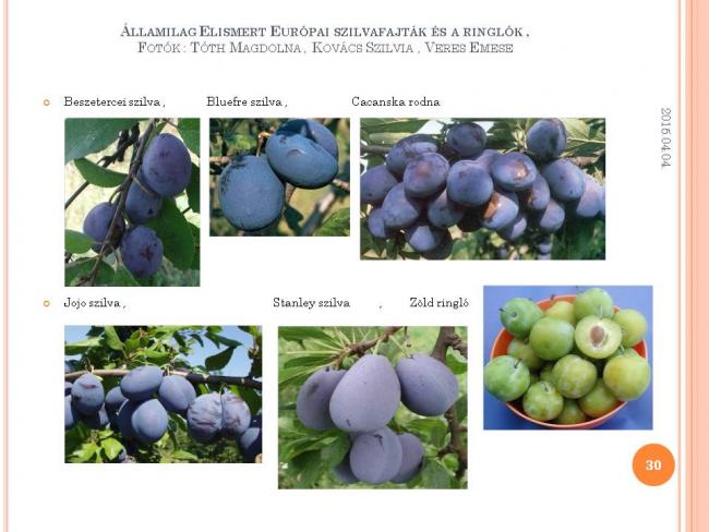 Szakmai Fórum , Körösladány